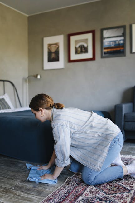 A professional cleaner from Hounslow Carpet Cleaning is performing surface cleaning and sanitisation in a residential living room, wearing a full protective suit, face mask, and gloves. The cleaner is using a vacuum-like device to deep clean a light-colored, plush carpet, creating visible steam or fog as part of the cleaning process. The room features a white wall with a large potted plant, a wooden bookshelf with decorative items and books, and natural lighting that highlights the cleanliness and shine of the carpet and surfaces, demonstrating thorough domestic cleaning and maintenance.